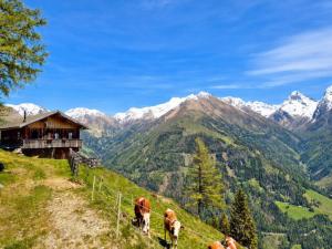 Figer Almh�tte am Gro�glockner Almh�tte Grossglockner